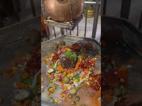 जो भोलेनाथ का दर्शन करता रहता है #bhakti #mandir 🙏🙏