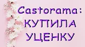 Орхидеи,узамба́рские фиалки,Самара🌺