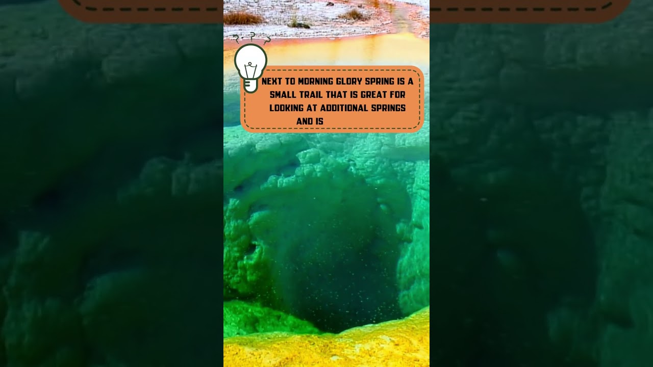 Avoid Crowds at Yellowstone🌳