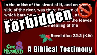 A Testimonial from King James Bible 22.2 - Read in its Entirety