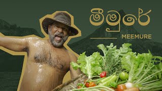 The Unseen Meemure | නොදුටු මීමුරේ Aloe Vera Curry | Pork & Roti