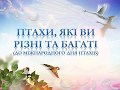 Птахи, які ви різні та багаті /Міська бібліотека для дітей.Борислав