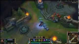 Nidalee Invisible spear bug reproduced twice in a