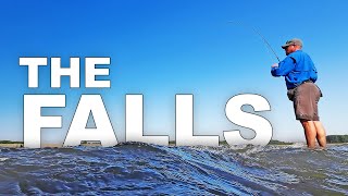 Drum and Long Nose Gar! | Falls of the Ohio