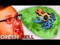 ПОЛНАЯ ВЕРСИЯ ЗЕЛЁНОГО АДА ► Green Hell #1