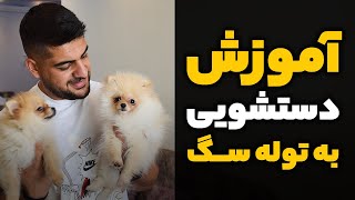 آموزش دستشویی سگ | آموزش دستشویی به توله سگ