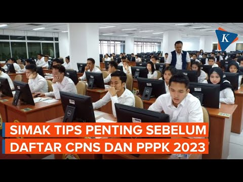 5 Hal yang Penting Diketahui Sebelum Daftar CPNS dan PPPK 2023