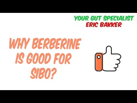 Vídeo: La berberina ajuda a Sibo?
