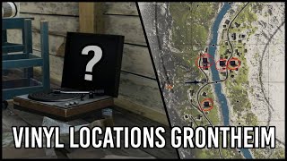 All Vinyl Spawn Locations on Grontheim Valley - Vigor