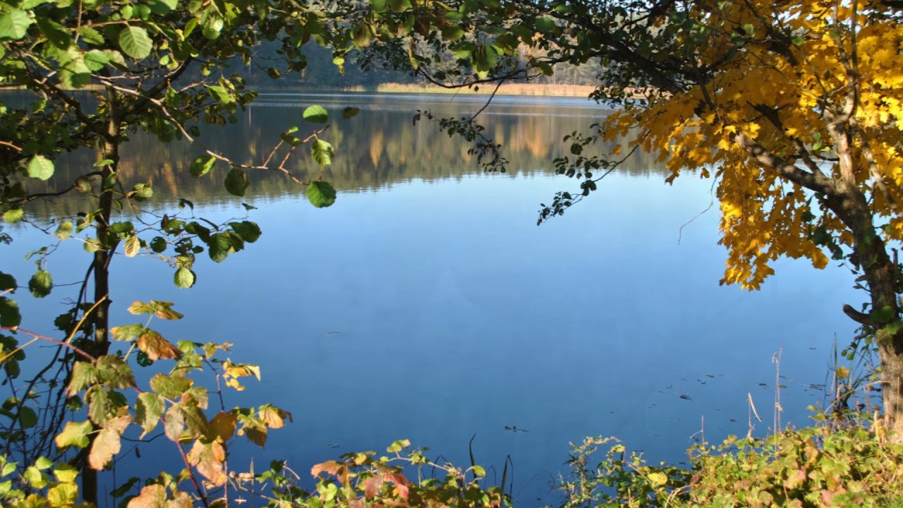 PABRADĖ XXI YouTube