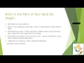 Positive Discipline Webinar