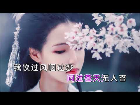 花僮 《浪子闲话DJ名龙版 》 KTV 导唱字幕