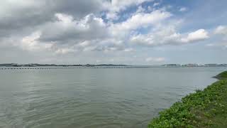 IMG 8081