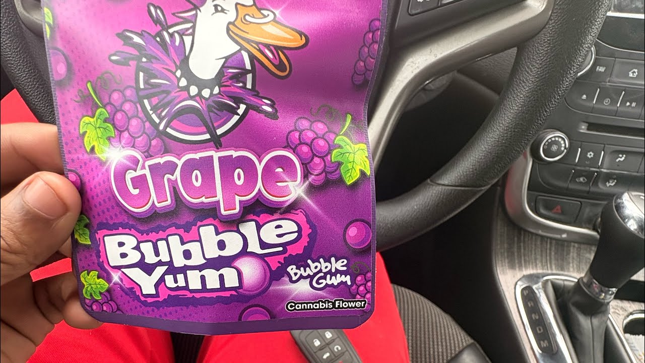 Hotbox with me today pt.3