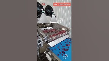 The Ultimate Art of Date Processing! Fully Automated Washing, Drying & Grading in One Line!