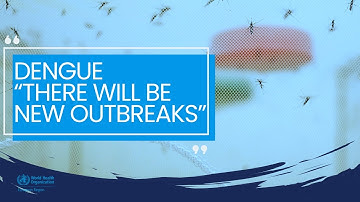 Dengue - There will be new outbreaks