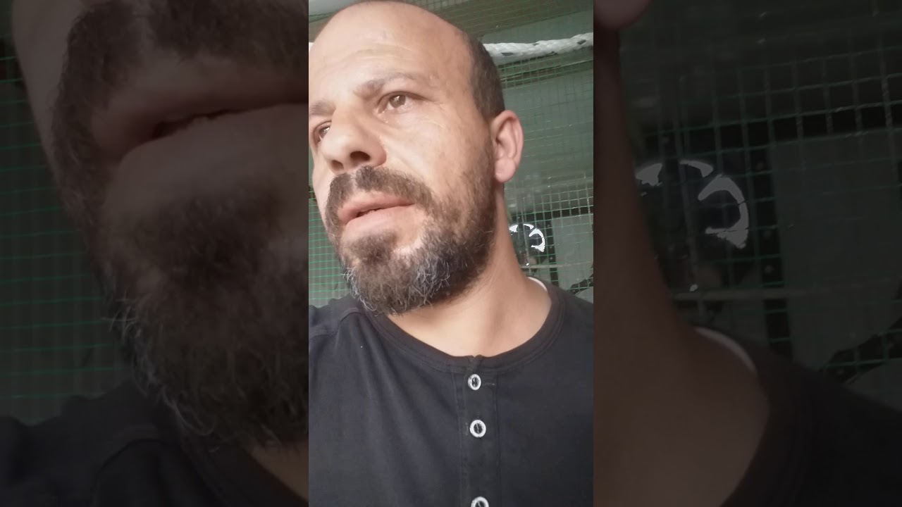 #Muhabbet #kuşlarında #tüy #sorunu Ve #çözümü (açıklamayı okuyun)