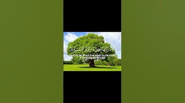 سورة النور الآية ( 35 )                                 Surah An-Nur, verse (35)