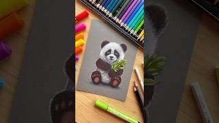 Cute🐼😍 @lievemerlijn laat zien hoe je deze schattige panda tekent met de Pen 68 MAX & aquacolor