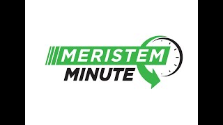 Meristem Minute: Early Season Plant Growth Regulators