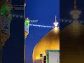 شما هم لعن بگید شما هم لعن بگید