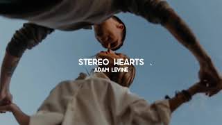 Adam Levine - Stereo Hearts Sebass Duck