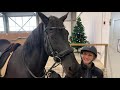 Поздравление с наступающим 2021 годом!🎄💫🐎