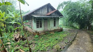 Heavy Rain and Lightning in Rural Life | Walking in the Rain | Sleep Well With the Sound of Rain