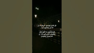 ما تيسر من سورة غافر...القارئ أبو النور