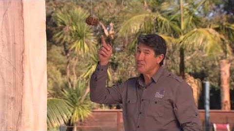 The Garden Gurus - Episode Two