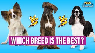 5 Best Dog Breeds For First-Time Owners