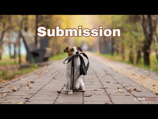 Submission | Pastor Phil | @JesusLives