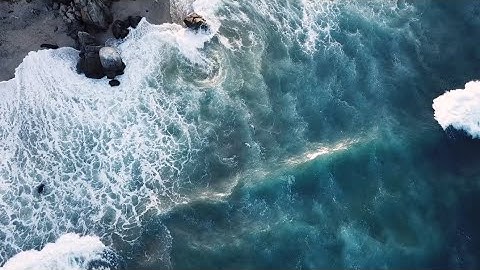 Introduction to Environmental Sustainability | Short film