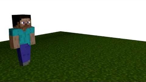 Steve walk Animation