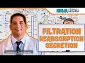 Renal  filtration reabsorption and secretion overview