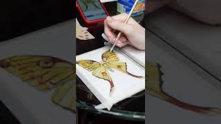 Famous Comet Moth- Gouache Painting Process Wealth