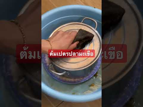 ต้มเปตรปลามะเขือ