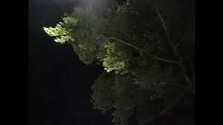 Fleetwire - 1_5177426979036595095 (Slowed)