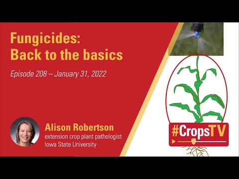 Fungicides: Back To The Basics