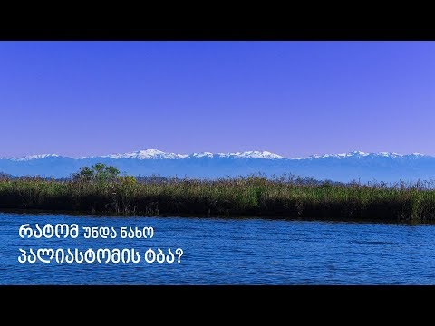 იდუმალი პალიასტომის ტბა