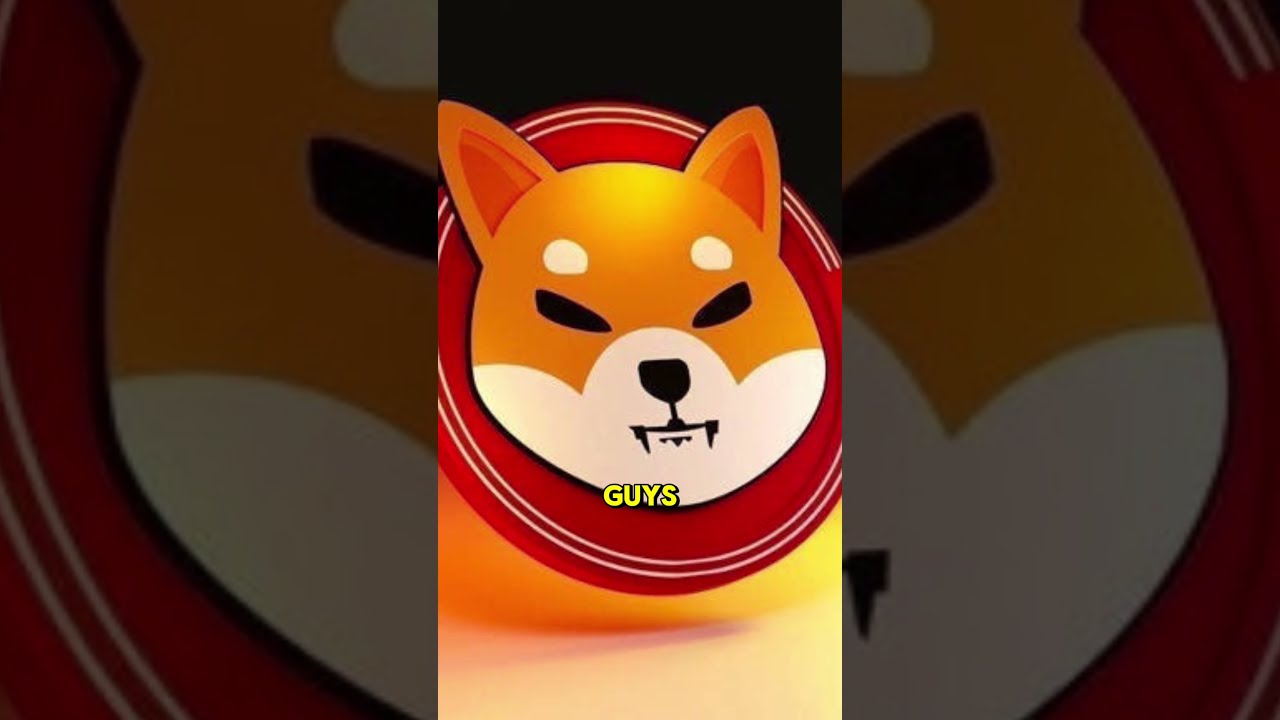 SHIBA INU COIN Volume Is Concerning