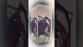 #election #mcb#conesion#viralvideo #minivlog