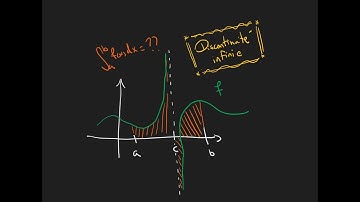 Calcul intégral : 10.2 - Intégrales impropres (discontinuité infinie)
