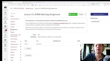 Lesson 11 Advising Assignment Video