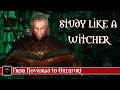 Study Like A Witcher: From Novigrad to Oxenfurt (Ambient Study Music Mix)