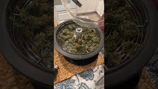 13” bowl trimmer in action.