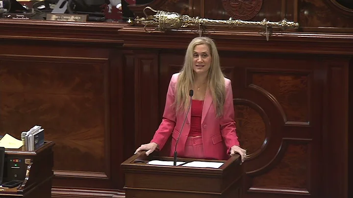 SC House Rep. Bernstein & Rep. Cobb-Hunter Speak o...