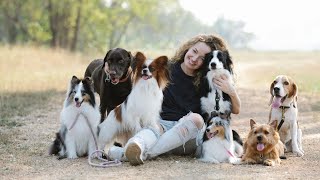 10 most popular dog breeds | Top 10