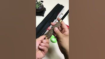 Cần câu tay rút gọn 30CM, 6h19i, cần câu tay 3,6-4,5 mét - Fishcamp Việt Nam #fishing  #carpfishing