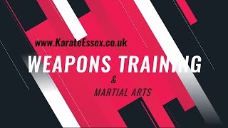LEARN MARTIAL ARTS WEAPONS TRAINING | Steve Perry screenshot 3